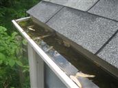 ClearView also offers professional gutter cleaning services!